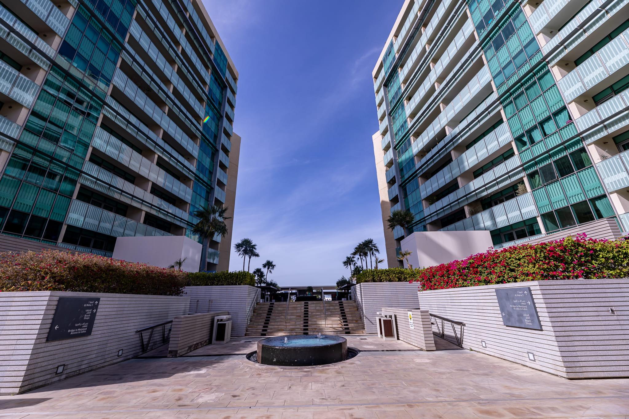 cover_image